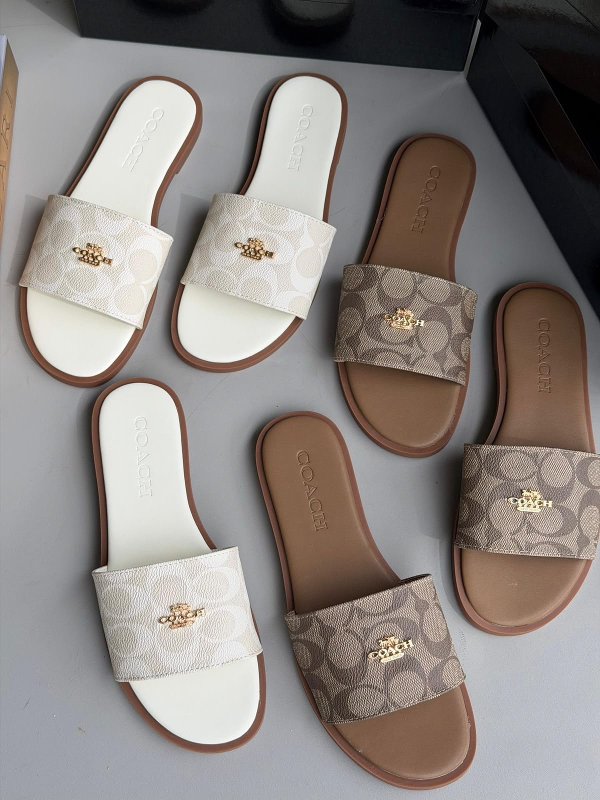 Coach Slippers available for import