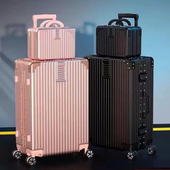 Luggage available for import
