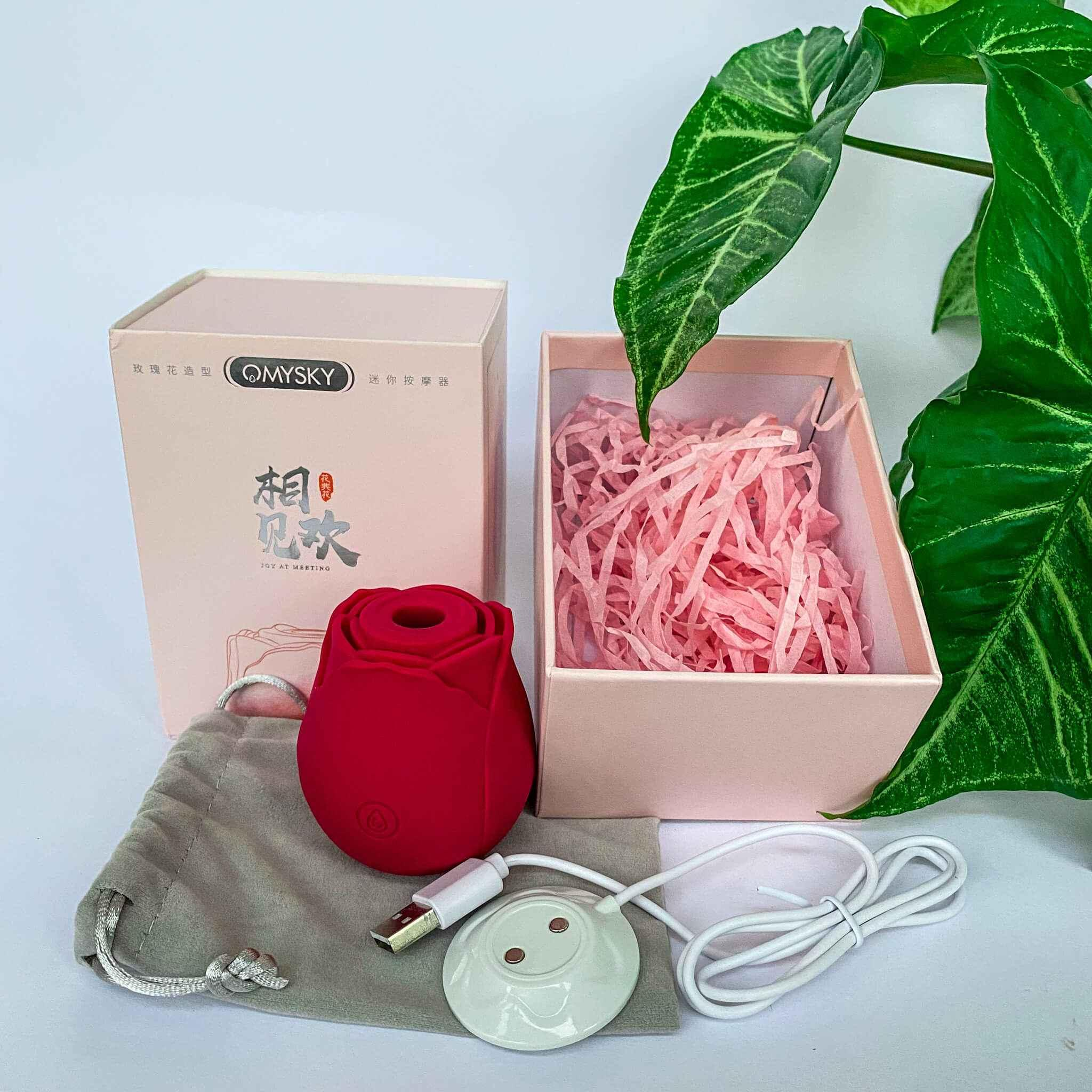 Rose Toy available for import